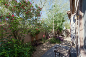 Xeriscaped Desert Style Backyard in Spring