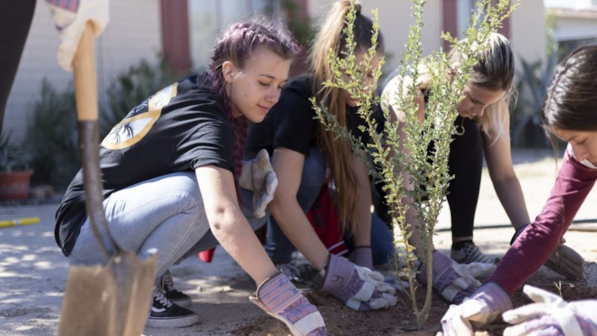 young volunteers planting a tree