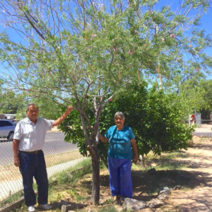 RWH_Tree Planting_Square