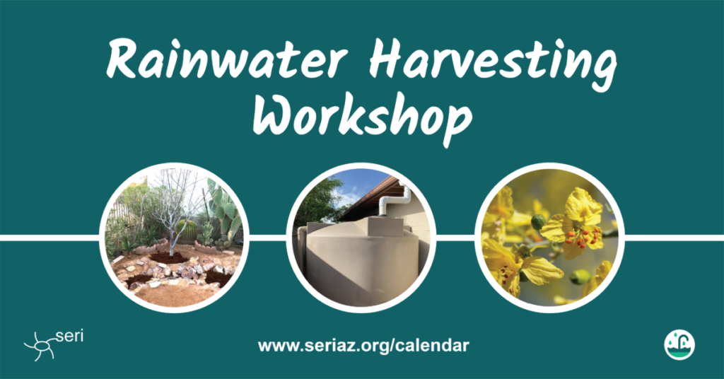 6AGUA_Workshop Graphics 2023_Rectangle_ENG